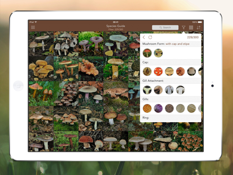 Mushroom LITE - Field Guide screenshot 2