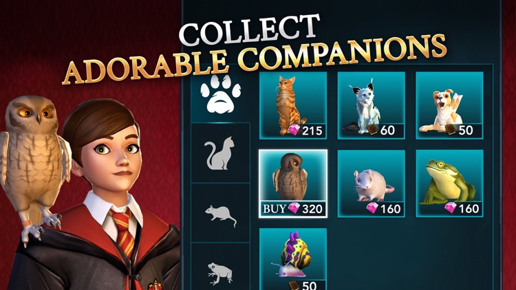 Harry Potter: Hogwarts Mystery