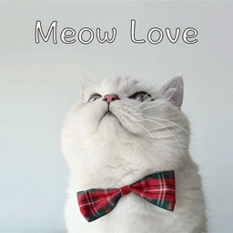 Meow Love+