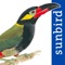 *** This mobile field guide includes all 871 bird species found in the Guianas covering the countries Suriname, Guyana, and French Guiana