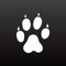 If your volunteer or member organization uses Digital Cheetah's volunteer or member management system, our Cheetah app is the fastest way to access Digital Cheetah