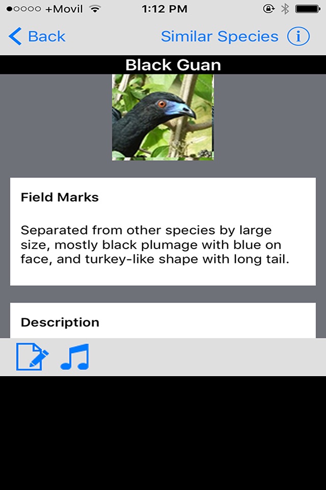 Costa Rica Birds Basic screenshot 3