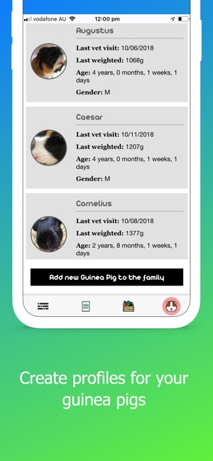 My Guinea Pigs(圖6)-速報App