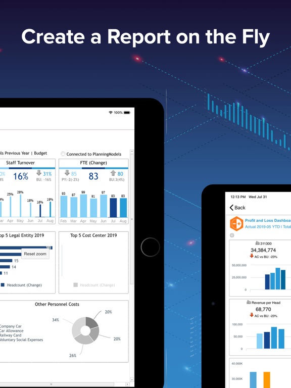 Screenshot #6 pour Jedox Plan & Forecast