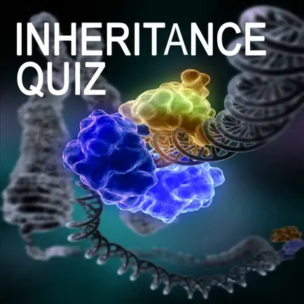 Genetics Inheritance Quiz C Читы