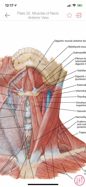 Anatomy Atlas, USMLE, Clinical(圖4)-速報App