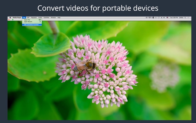 TÉLÉCHARGER CONVERT FLV TO MP3 SUR 01NET SUR TÉLÉCHARGER CONVERT 01NET TO MP3 FLV