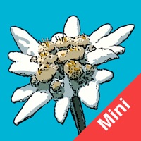 Flora Helvetica Mini deutsch pour PC