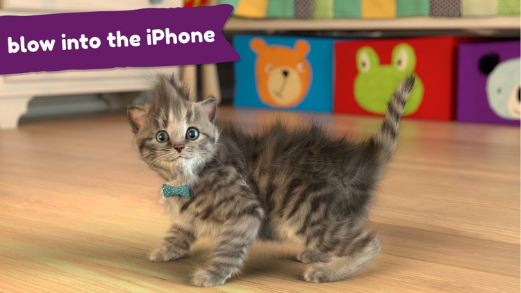 Little Kitten -My Favorite Cat screenshot-3