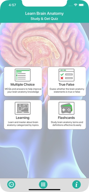 Learn Brain Anatomy(圖1)-速報App