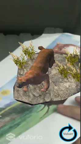 Game screenshot Protejamos Nuestra Fauna mod apk