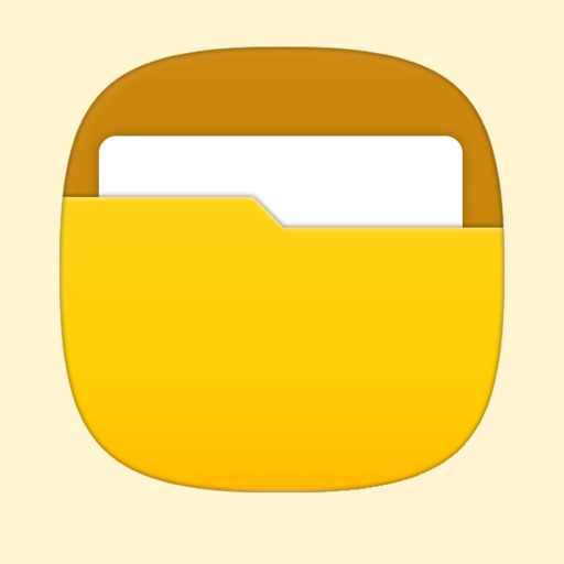 Simple File Manager: explorer iOS App