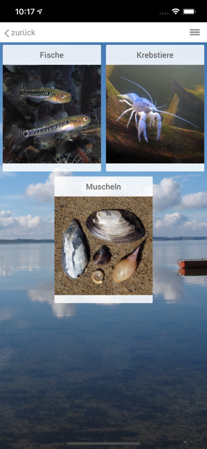 SWIMWAY FishExplorer(圖2)-速報App