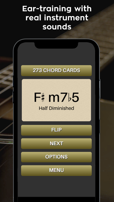 Music Theory & Ear Flashcards screenshot 3