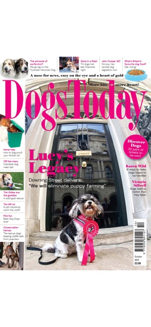 Dogs Today Magazine(圖9)-速報App