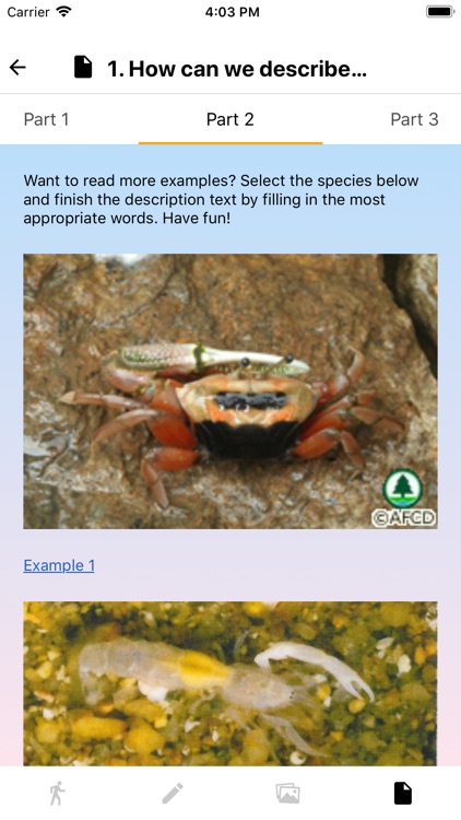 Marine Biology (HKUST) screenshot-5