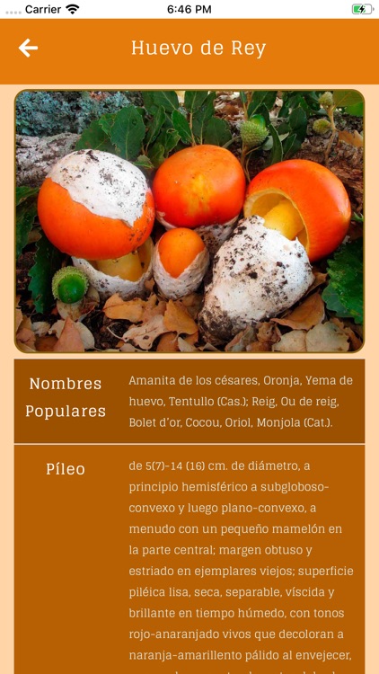 Micorracin screenshot-4