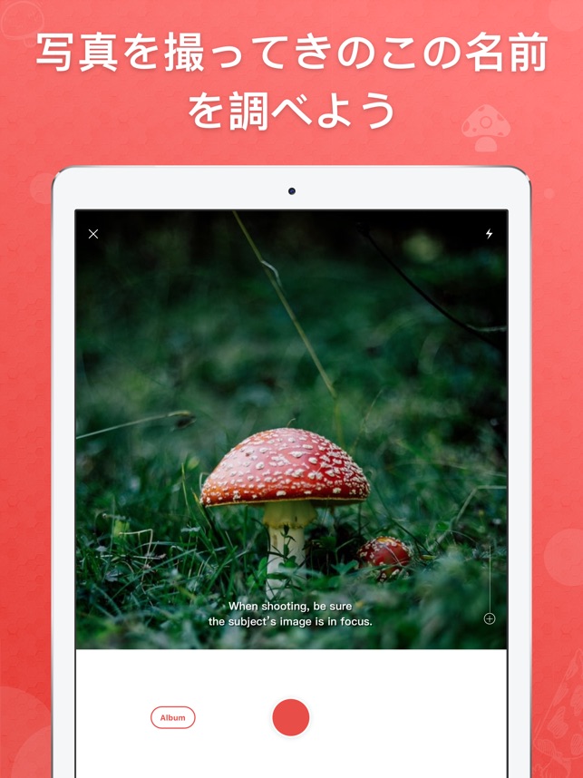 Picture Mushroom 1秒キノコ図鑑 をapp Storeで