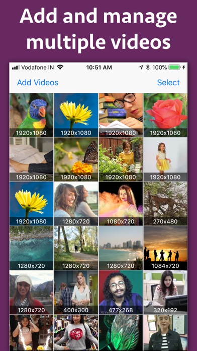 Video Divider screenshot 2