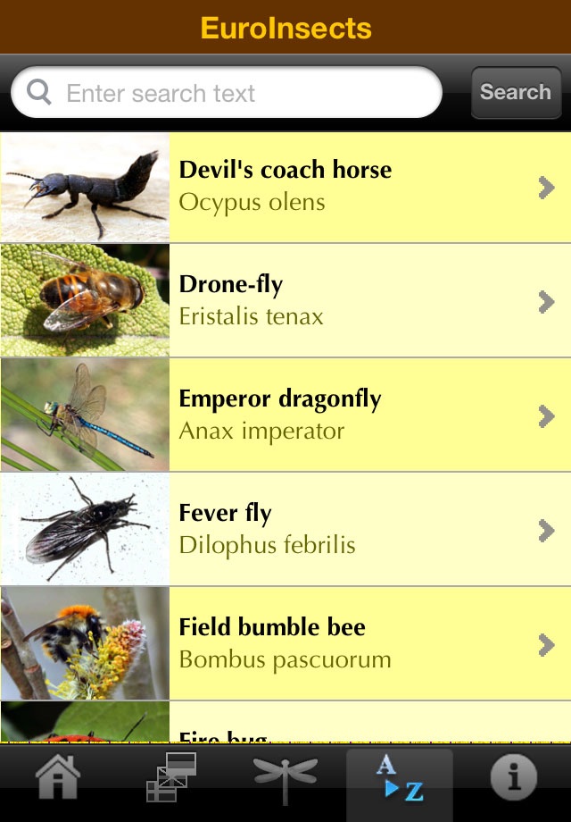 EuroInsects screenshot 2
