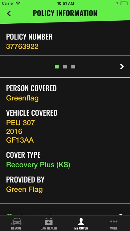 Green Flag screenshot-4