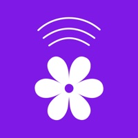 Арника pour PC