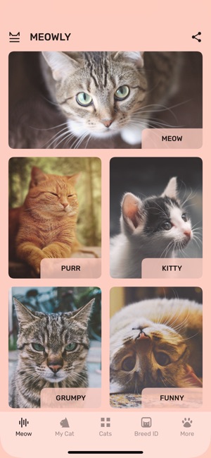 Cat App - Meowly Cats