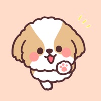 fluffy shih tzu 3set