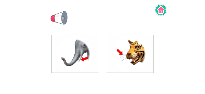 Picture Dictionary - Animals