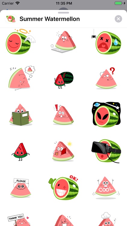 Summer Watermelon - Animated