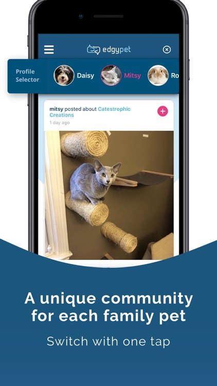 EdgyPet: Pet Social Network screenshot-7