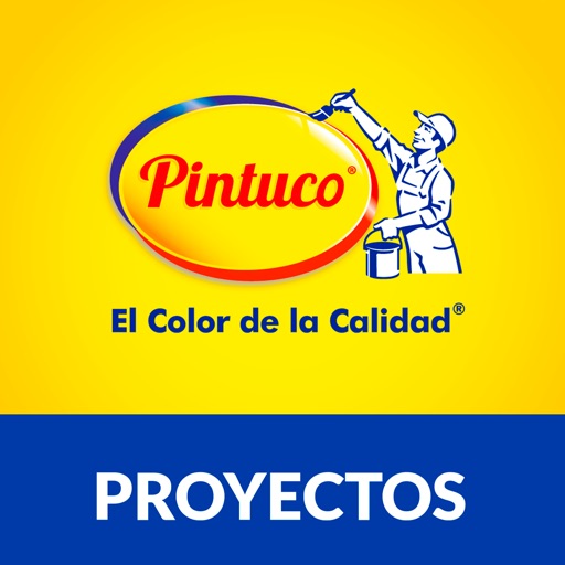 Pintuco proyectos