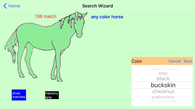 Chincoteague Pony Names