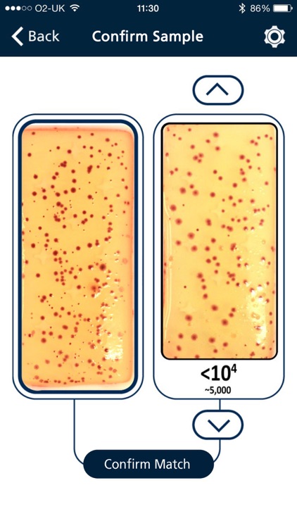 Dipslide Comparator