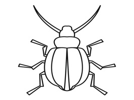 The InsectsTL is a small sticker, which are show the 50 Insects sticker in cartoon