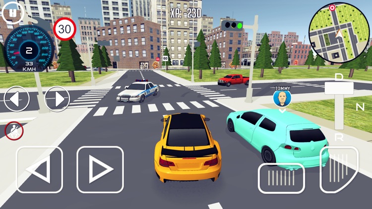 Driving School Simulator 2020 screenshot-5