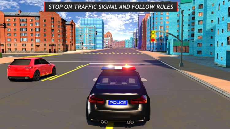 Police Car Driving School 2020