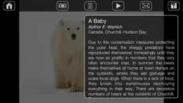 Game screenshot Album Polar Bears HD hack