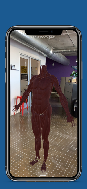 Anatomy AR+(圖6)-速報App