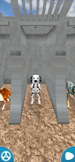 Dog Racing Simulator 2020