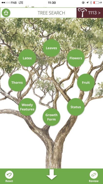 TheTreeApp South Africa