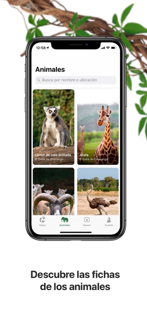 Africam Safari(圖3)-速報App