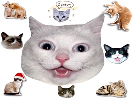 We bring you the best cat stickers application with which you can share and create packs of stickers with your friends
