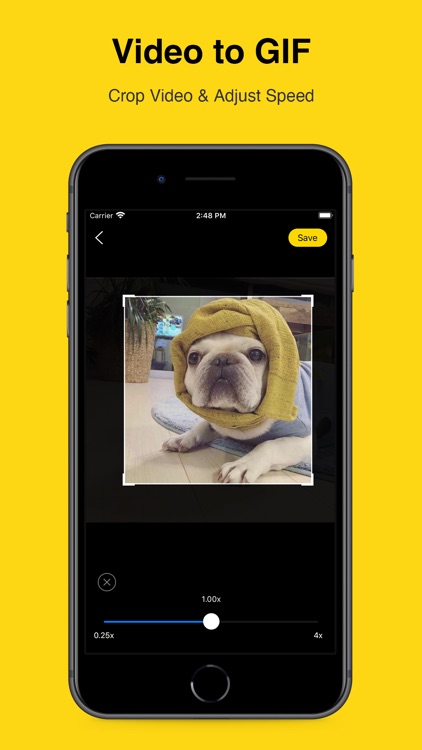 GIF Maker - Video to GIFs
