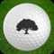 Download the Tomoka Oaks Golf Club App to enhance your golf experience on the course