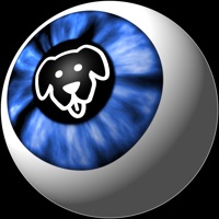 Dogs Eye camera with VR sur PC