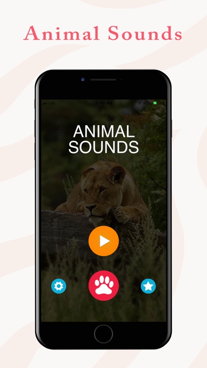 Animal Sounds for Kids.!