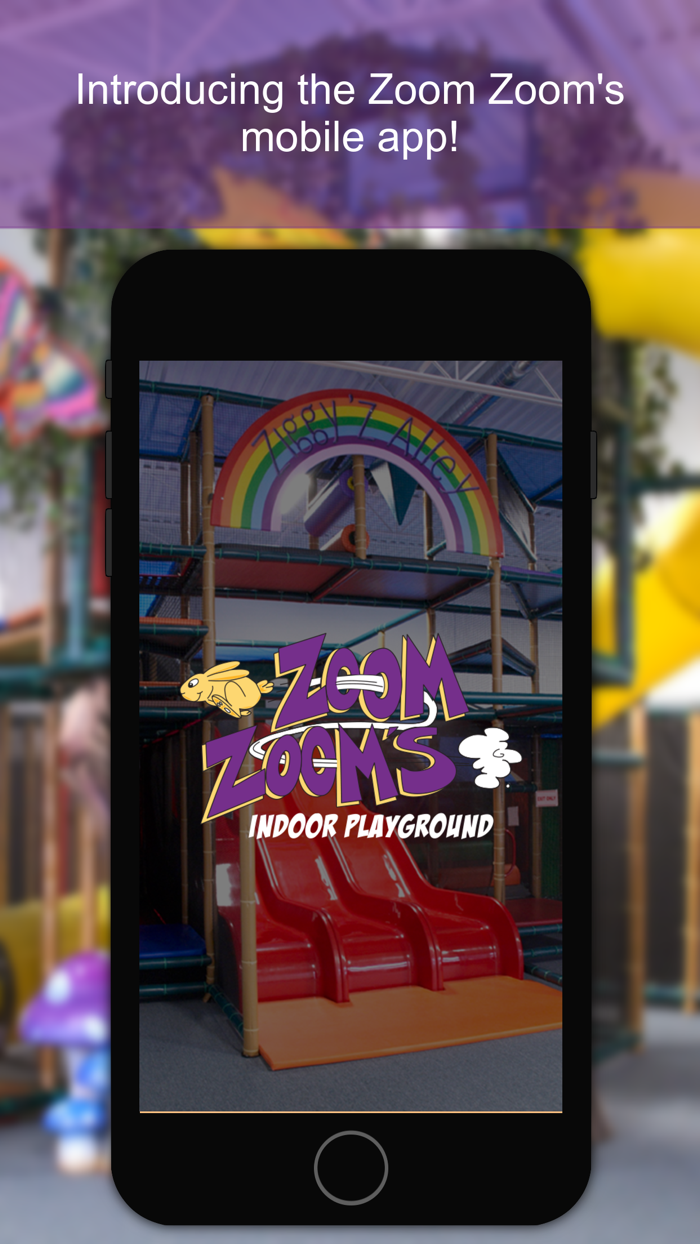 Zoom Zooms Indoor Playground