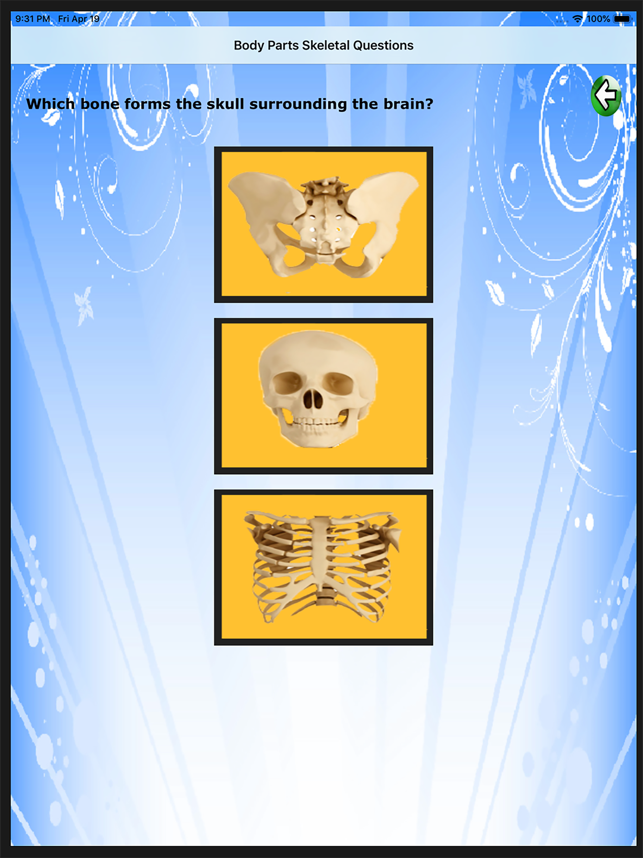 ‎Body Parts Skeletal & Internal Screenshot