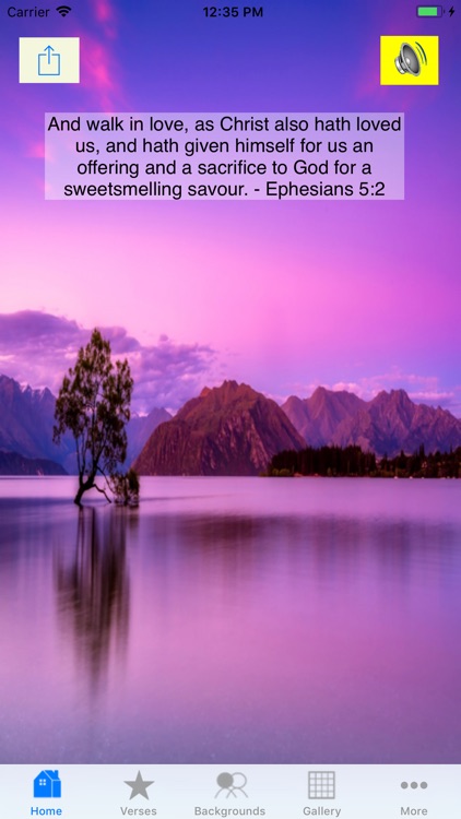 Lord's Verses